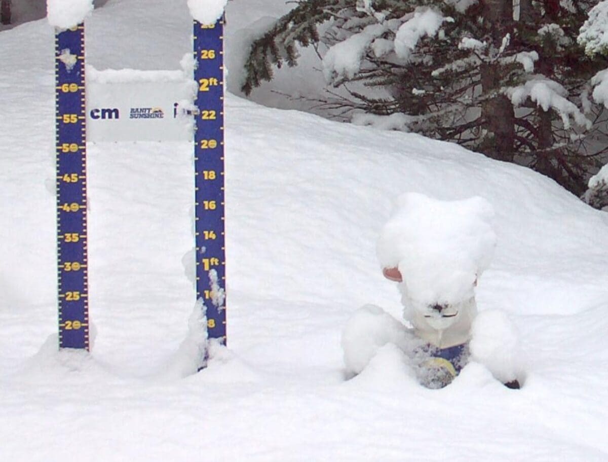 Banff Sunshine Village Storm Board.